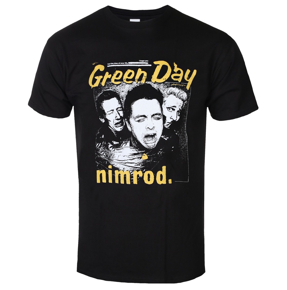 Green Day Distressed Faded Ban - огляд і ціна Band Tee Faded 90S